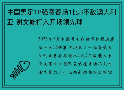 中国男足18强赛客场1比3不敌澳大利亚 谢文能打入开场领先球 中国男足18强赛客场1比3不敌澳大利亚 谢文能打入开场领先球
